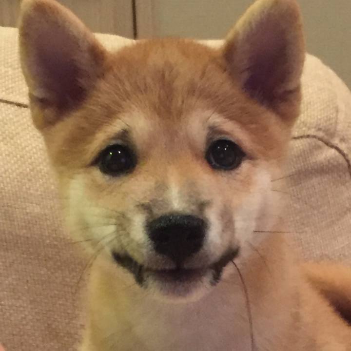 F54d8490 6778 45dd 93e4 6f2df26e8eb5