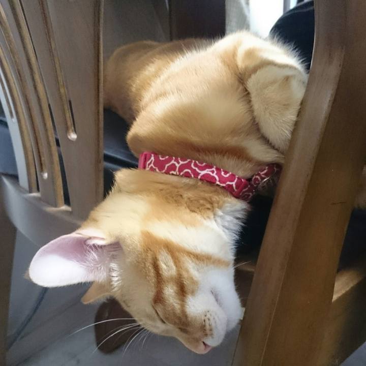 F54d8c60 0121 4d77 a145 40a6c0249d8b