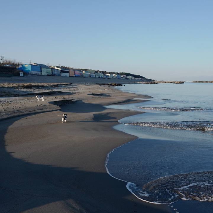 F54d90d7 9413 4c0f ab81 8728f659c172