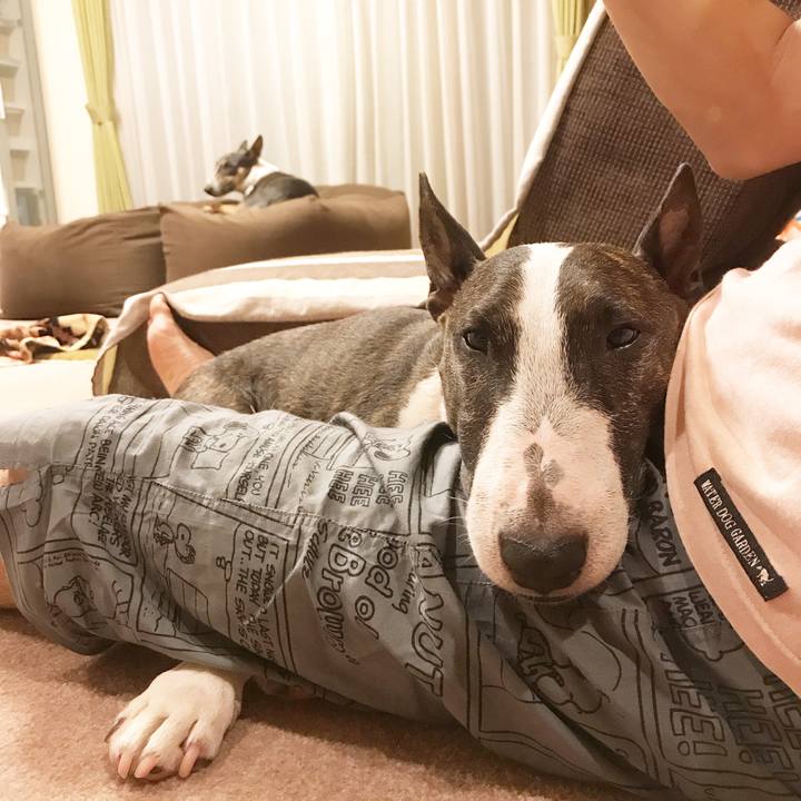 F54dacb3 911c 4126 9a9b 78be11878654