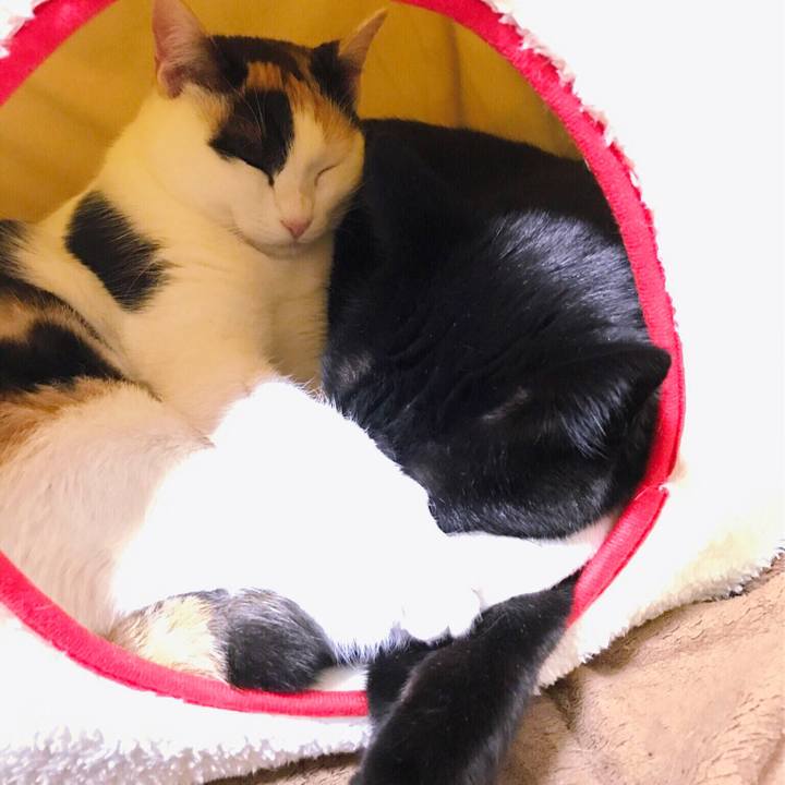 F54e0b7e 06ce 4f5a 96aa 112c0c835933