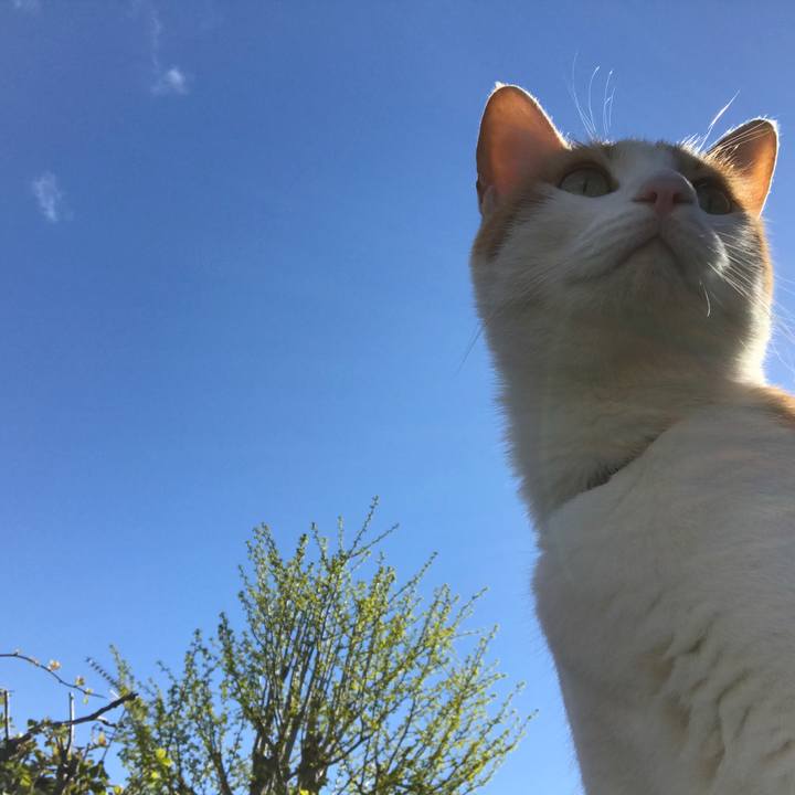 F54e19d4 c4a1 40c4 abea e4720935fbb0