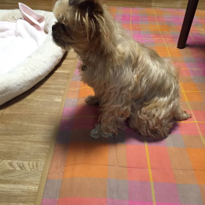 F54e5197 1ea7 4f2c 985b 1a8b48088efd