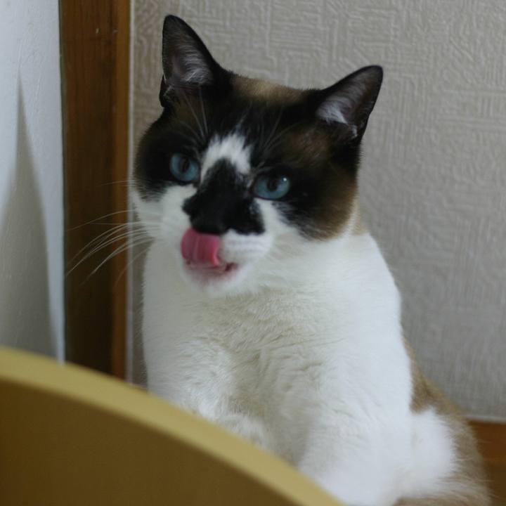 F54e7f18 a94c 44ad b491 be843480e9fc