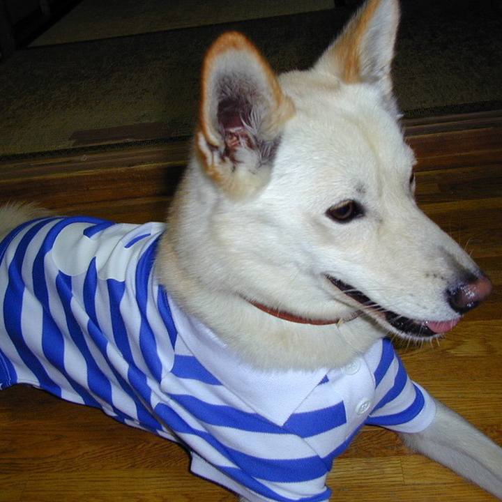 F54ea276 e4e2 4d1c 851a 8b9301f0e978