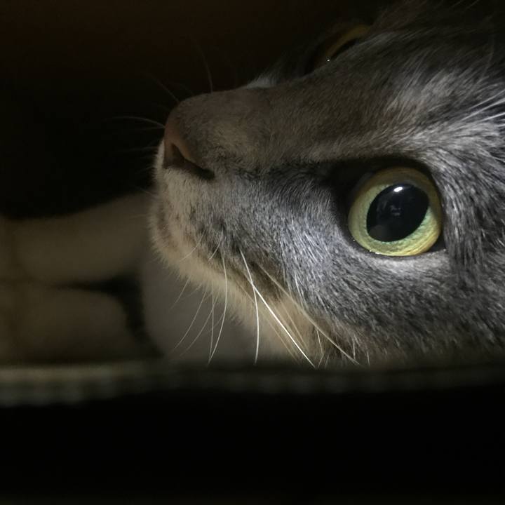 F54ed483 5150 4e59 b7ec 64085c295e3b