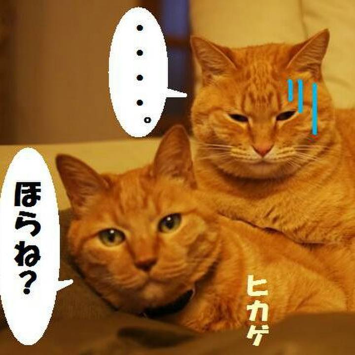 F54f1ebb a5ca 4261 af3b 3c4449d898ef