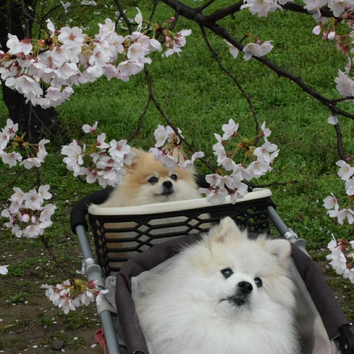 F54f2ddd 6bd3 4759 af97 05cf1049da28