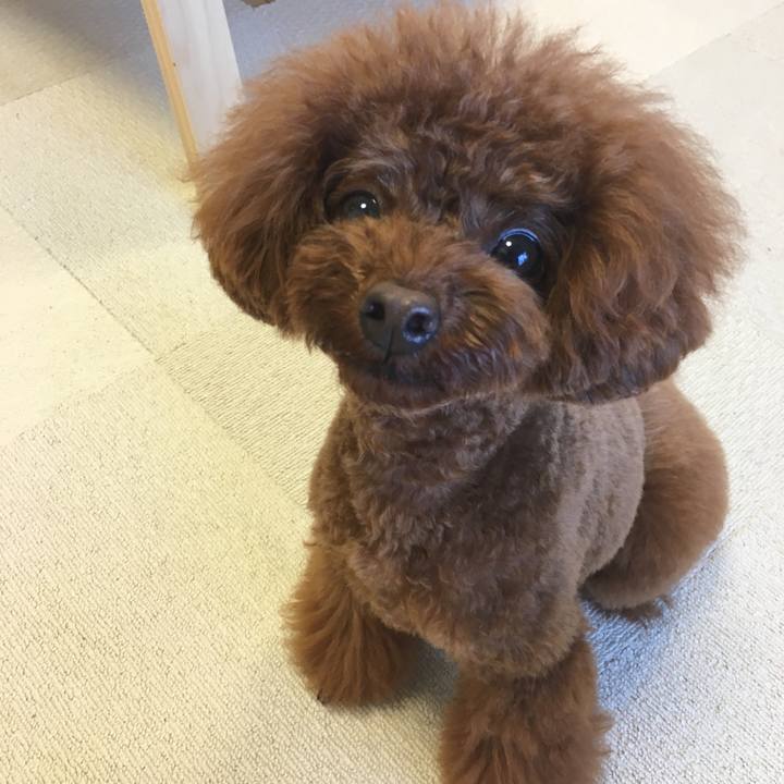 F54f4909 d953 4f16 9c82 81338526ba79