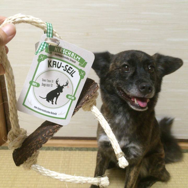 F54f5ab3 f9a5 4f98 9fd5 c75ec2215f18