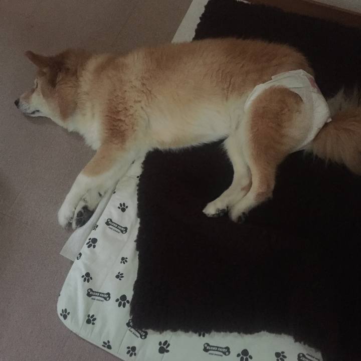 F5503b6a 64f3 4dee a259 832276be6560