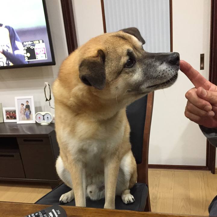 F5513a2c a103 47e9 8f0a 64f9efab3288