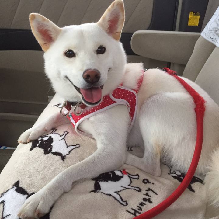 F551c34f e0c8 49b3 bc40 462233a3cb9c