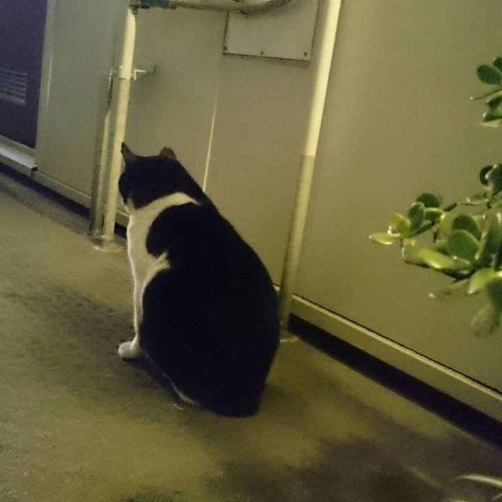 F55281f8 1663 4e91 a005 db02d65b35eb