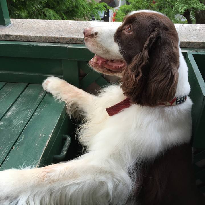 F5529c9b de29 4f9f 9ce6 76adc890bdd8