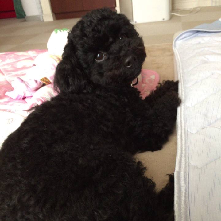 F552cb8c e3cd 4ad9 85a3 02b235d3471d