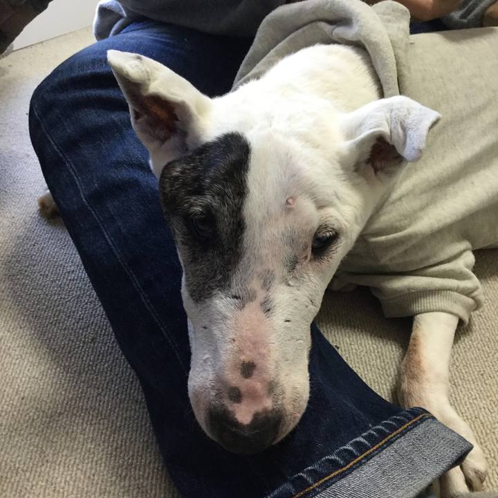 F55360c7 a26b 4afe bdf5 1b0de82c2f58