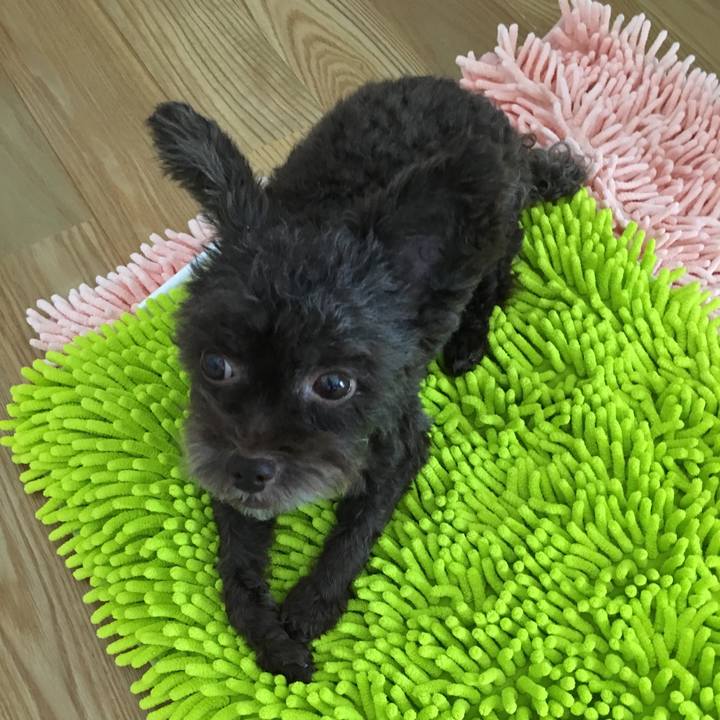 F553a043 5015 45a0 9813 817a846e976d