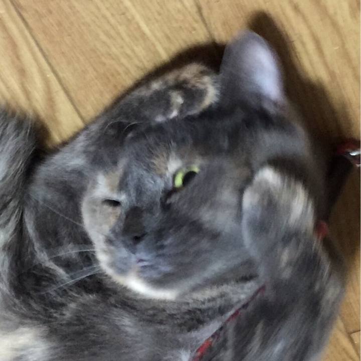 F553cce4 3d45 493b a72d 38bc01337824