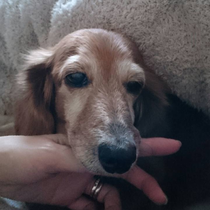 F553dfc6 8a14 4743 b078 30ffbe1fc6e2