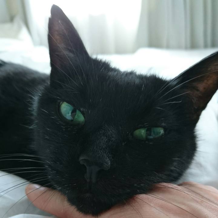 F5552b86 2854 4d21 a091 c66b08062f02