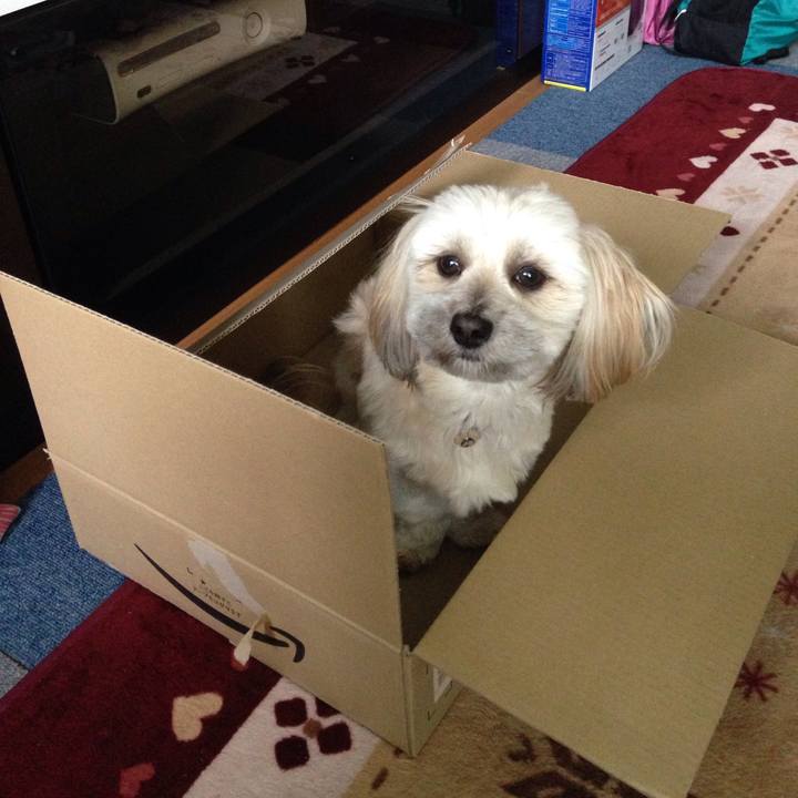 F5558335 924c 4f98 bba2 f26dd54b0a01