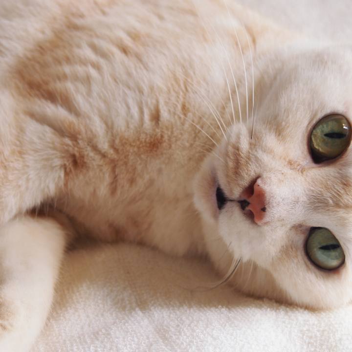 F555e50a 8a60 4531 9216 4d504ac9fc33