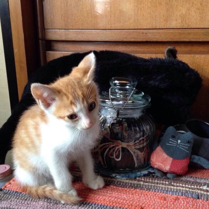 F555e926 2ffe 462c ab37 cfad4bd416e1