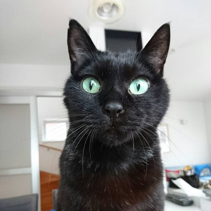 F55686ab c502 4c21 8b9c 22c24997011c