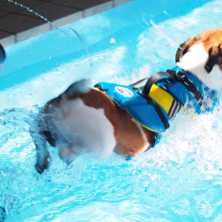 F556bd68 b382 4307 966e 00a7543b02fa