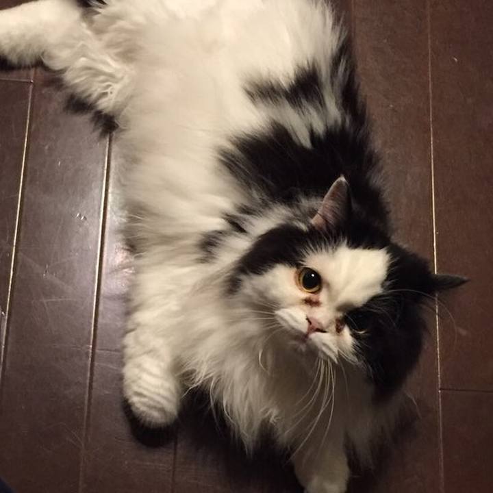 F557aef2 4848 42ab b240 0e3785efa62a