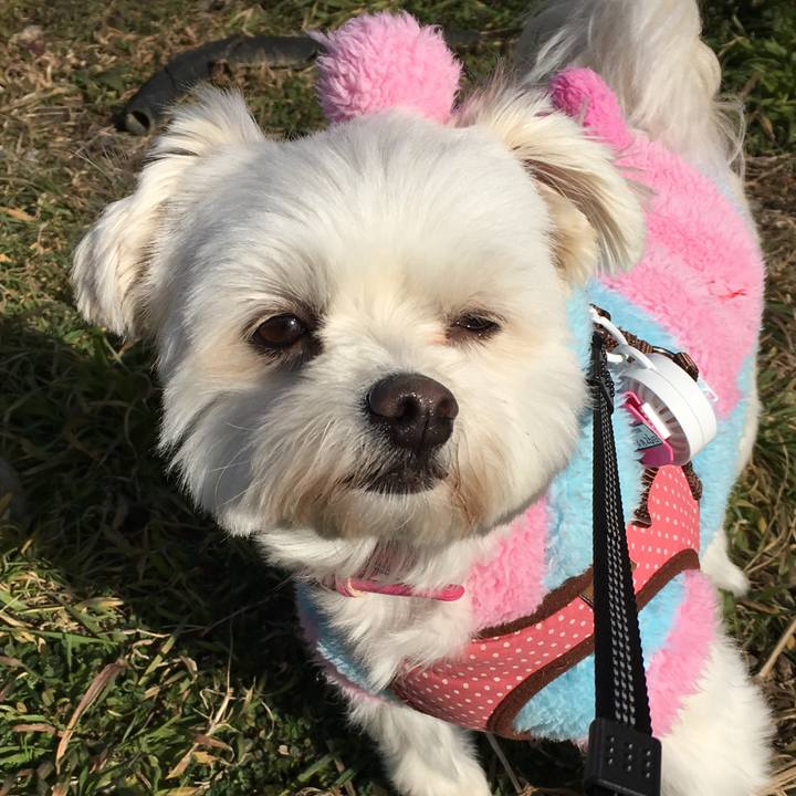 F5584e53 cf70 41f4 baee ced28df9212c