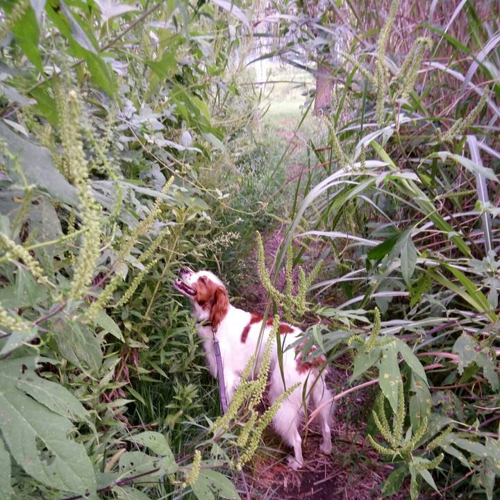 F55868b9 af6b 4ef0 90e7 fb9f9ff1fa96