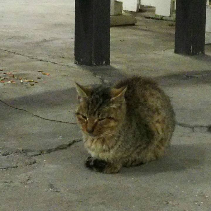 F558b7ab afc7 4d9d afc9 c073100a8bec