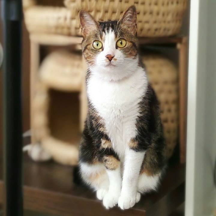 F558f178 78c5 4cec 83e2 ee28e6f9fe8f