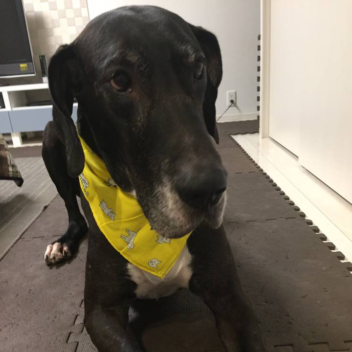 F55a5363 b243 4c8f aee6 615c7d3b06bf