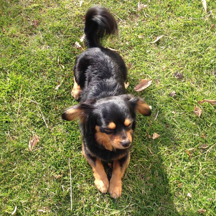 F55a8813 94f5 4198 a073 35dec421798e