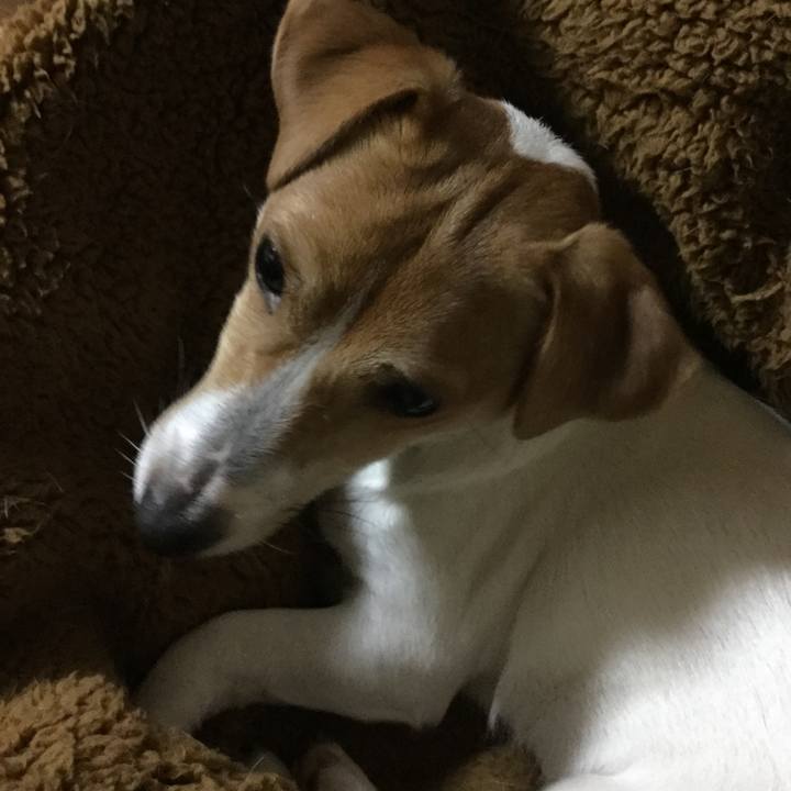 F55a90ff 7d9b 4e64 8680 ed3c2fae4d59