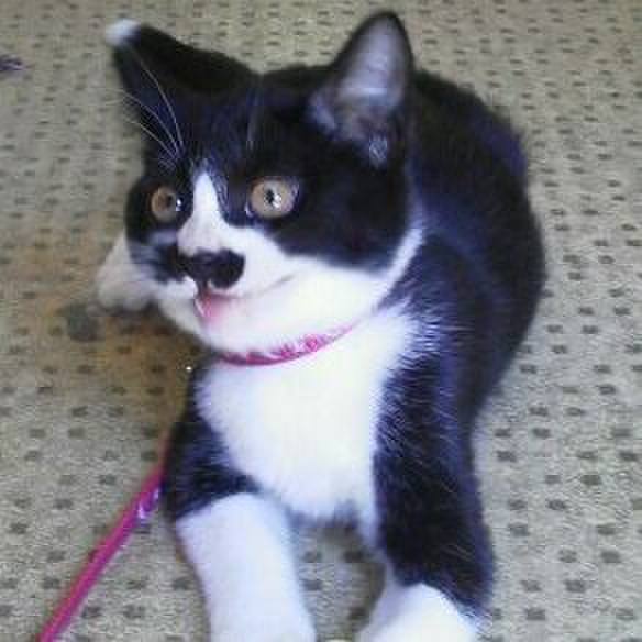 F55b3193 7bd1 47f0 b0ee 89ff814a28a9