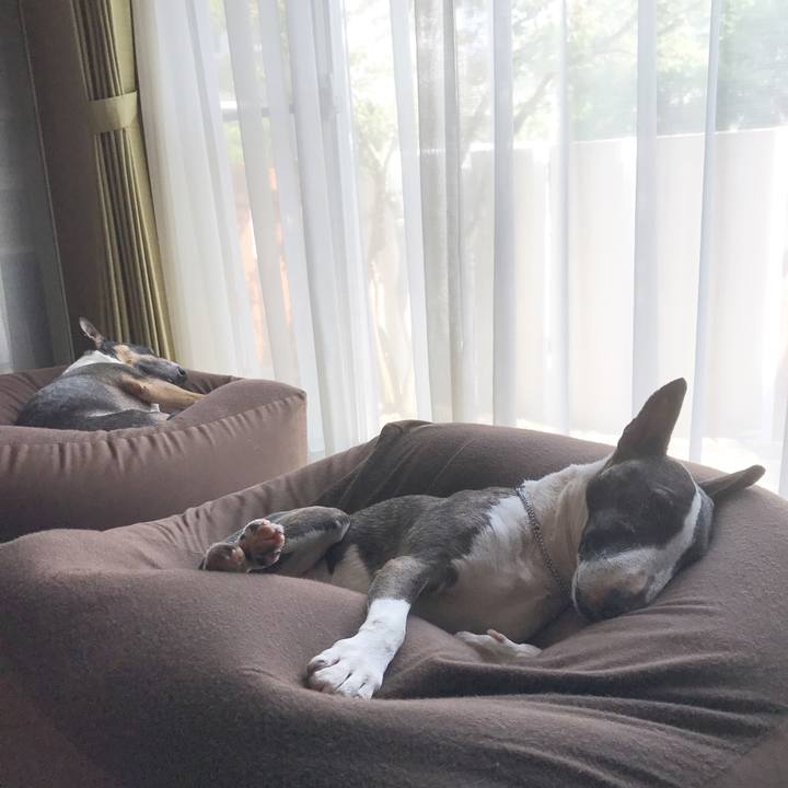 F55b562d fa1d 4b4a 8fa6 b55c39f77961