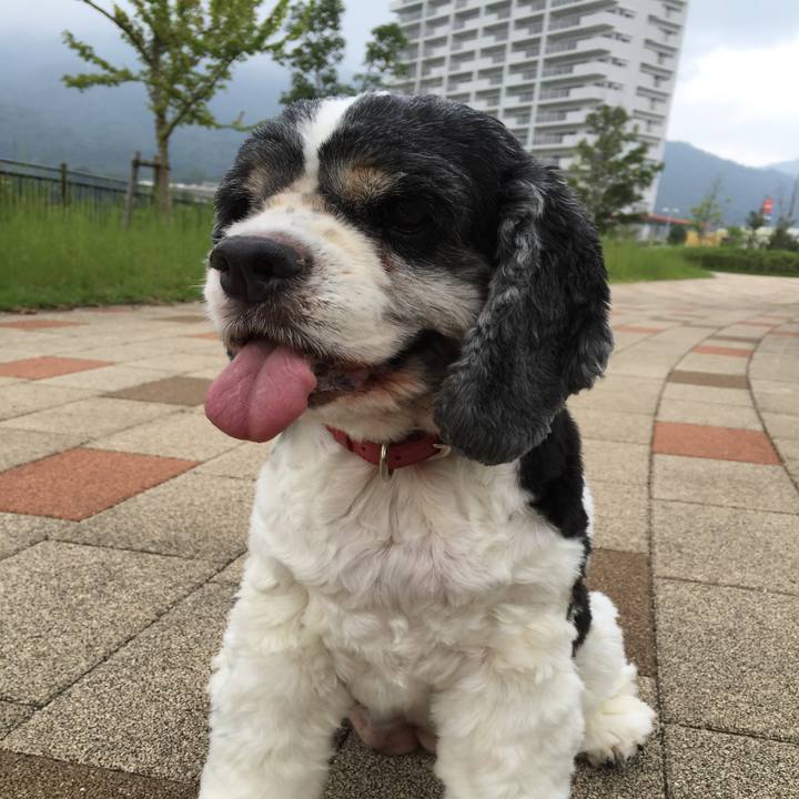 F55b58f9 1c6f 4275 8a12 790c21068e21