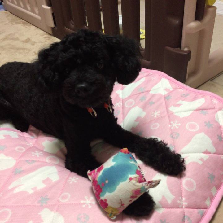 F55bf390 4c7d 487b b24a b2ddf2659b75