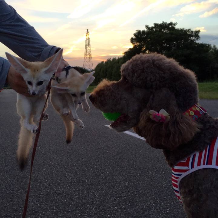 F55c5bfc 26ee 4d54 9001 87c35ef05340