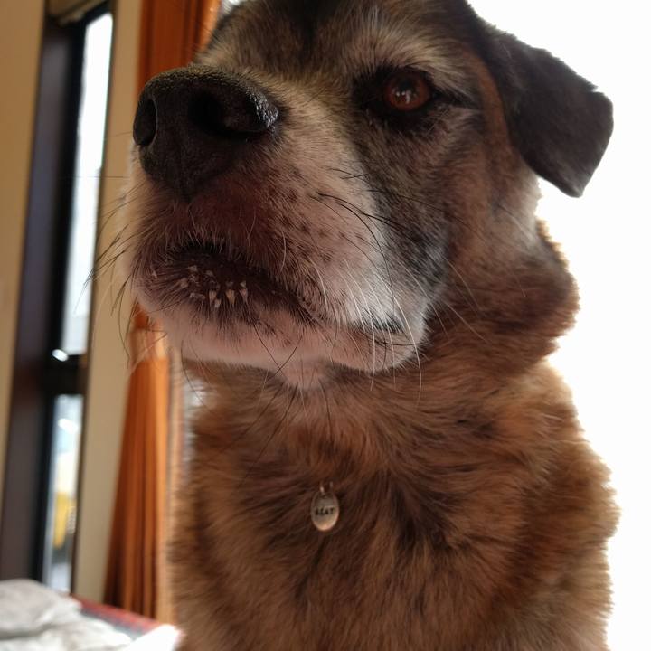 F55d3143 7318 411f 86b8 26640e340aac