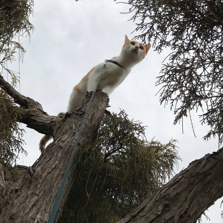 F55d82a3 690d 4b7b 9ffa dfe0f0643fda