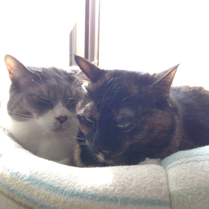 F55d92cf df24 480c b38b 366e050b70f0