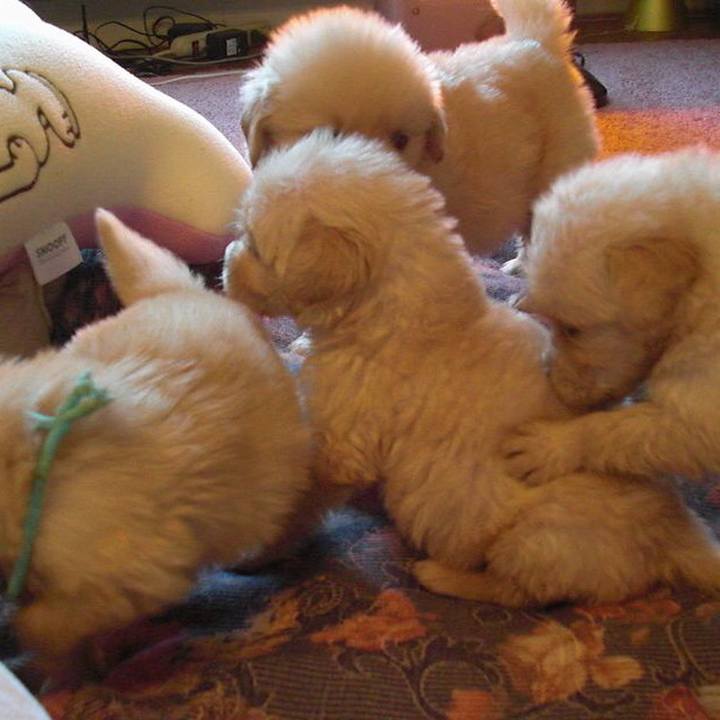 F55e9426 266b 4a24 8344 572cbebcbf4b