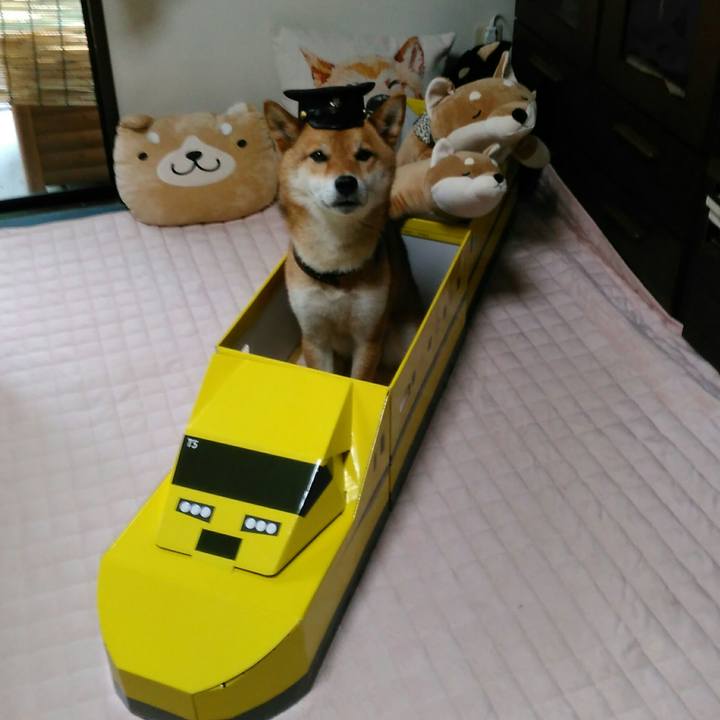 F55e9ecd e866 4180 9946 d5afc2ee6cc5