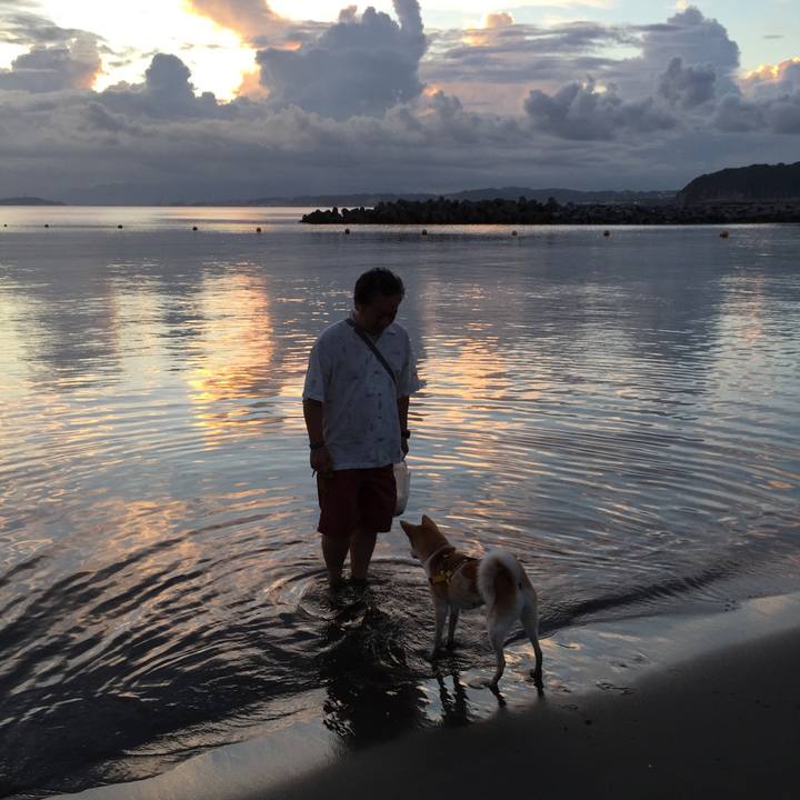 F55f3a5f 3b6e 4735 96de ec1d9b78369a