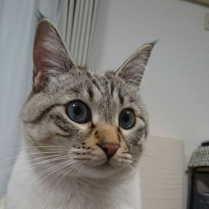 F55f985a 3921 4966 8f77 bf8f3f6bb972